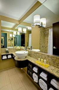 罗斯芒特芝加哥奥黑尔皇冠广场酒店与会议中心的一间带水槽和大镜子的浴室