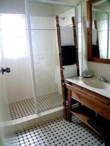赫维湾海湾椰树酒店的带淋浴和盥洗盆的浴室