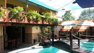 安吉利斯可莫斯酒店和餐厅的一座拥有游泳池和盆栽植物的酒店