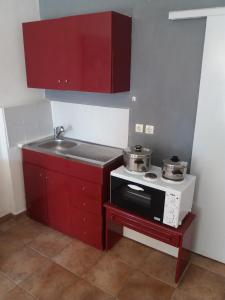 波罗斯studio in garden的厨房配有红色橱柜和带两个锅的炉灶