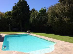 开普敦Camelot in Constantia的院子里的大型蓝色游泳池