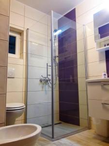 克尔克Guest House Tonica的带淋浴、卫生间和盥洗盆的浴室