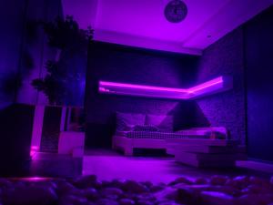 布拉索夫Excentric Studio 1的客厅配有紫色灯光和沙发