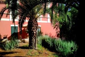 卡萨拉诺B&B Ippocastano的棕榈树在粉红色建筑前