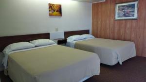 漂流木汽车旅馆客房内的一张或多张床位