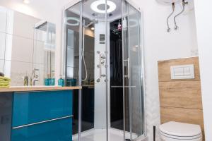 卡托维兹Apartment Zamulkowa Katowice的一间带卫生间的浴室内的玻璃淋浴间