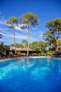 雷日卡普费雷VVF Lège Cap Ferret的一个种有树木的大型蓝色游泳池