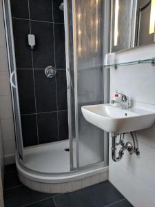 迪波尔迪斯瓦尔德迪波斯瓦尔德巴恩酒店的一间带水槽和淋浴的浴室