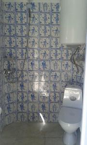 乌树故里Old Tower Ushguli的蓝色和白色瓷砖浴室设有卫生间