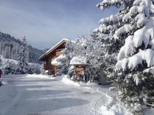 拉克吕萨Hôtel Chalet Alpage的雪覆盖的小屋,位于雪覆盖的树旁