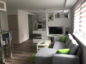 SulzbachApartment Ferienwohnung的带沙发和电视的客厅