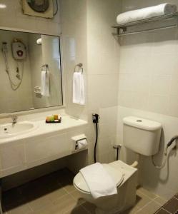 关丹马来西亚关丹斯里酒店的一间带卫生间、水槽和镜子的浴室