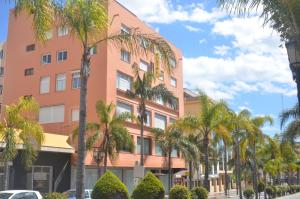 多列毛利诺斯帕尔梅拉旅馆的一座高大的橘子建筑,前面有棕榈树