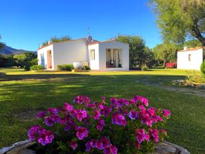 圣特奥多罗李司考匹乡村民宿的院子里有粉红色花的房子