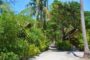 丽贝岛弗拉日出潜水度假酒店的穿过海滩上的树木和植物的小径