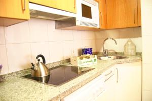 莱昂Apartamentos Turisticos ARCH的厨房柜台配有水槽和茶壶