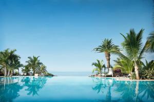 阿德耶罗卡娜微瑞雅阿德里安酒店的一座棕榈树和海洋游泳池