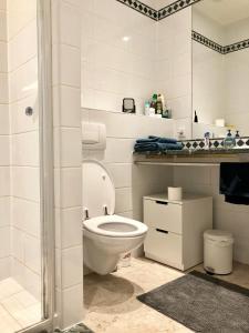 卢森堡Spacious flat in the heart of the City Center! Ideal for a family!的白色的浴室设有卫生间和淋浴。