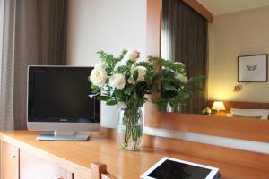 雅典阿克琉斯酒店的花瓶,花瓶,桌子上放着电视机
