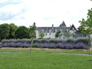 Mareuil-sur-CherEmbarcadere ou Ecluse的一座花园,在房子前面种有紫色的花朵