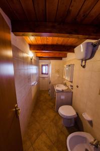 贡内萨Il Rudere的一间带卫生间和水槽的浴室