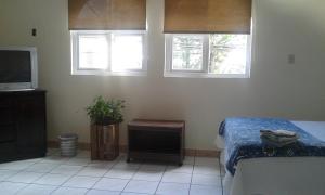 危地马拉lindo apartamento的一间卧室设有一张床、一台电视和窗户。