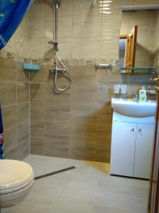 吉日茨科Lodges Zacisze I的带淋浴、卫生间和盥洗盆的浴室