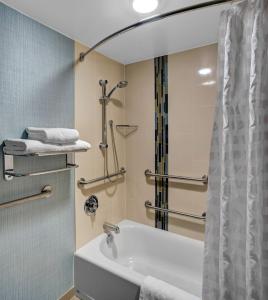 艾塔斯卡芝加哥/伊塔斯加凯悦广场酒店的带浴缸、淋浴和盥洗盆的浴室