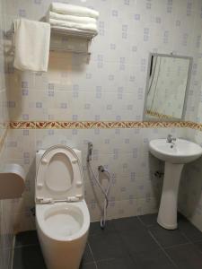 诗巫苏拉酒店的一间带卫生间和水槽的浴室