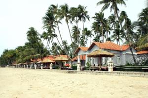 美奈Muine Century Beach Resort & Spa的海滩上一排种有棕榈树的房屋