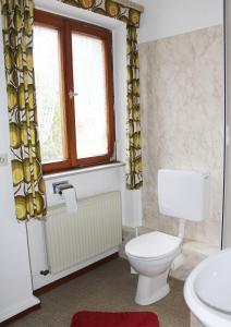 尼尔堡Green Corner Nürburg的一间带卫生间、水槽和窗户的浴室