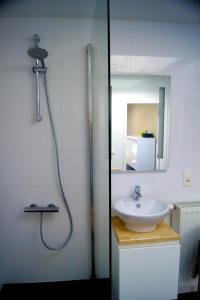 根特奥尔因度假屋的带淋浴、盥洗盆和镜子的浴室