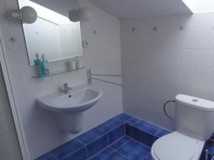 布雷兹诺埃卡旅馆的浴室配有白色卫生间和盥洗盆。