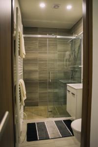 霍多宁Penzion JaRo的浴室设有玻璃淋浴间和卫生间