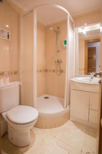 阿维拉Apartamentos Abula的浴室配有卫生间、淋浴和盥洗盆。