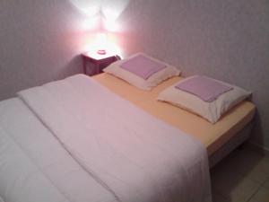 吕奥姆gîte en sud Ardèche的一张带两个枕头的床和一张桌子上的台灯