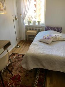斯德哥尔摩Farsta Bed and Breakfast的一间卧室配有一张床、一张书桌和一个窗户。