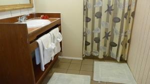 Pihaena莫图伊提公寓的一间带水槽和淋浴帘的浴室