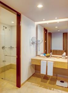 比亚维森西奥埃斯特拉比亚维森西奥及会议中心酒店的带淋浴、盥洗盆和镜子的浴室