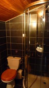 图卢兹Chez Babeth的一间带卫生间和玻璃淋浴间的浴室