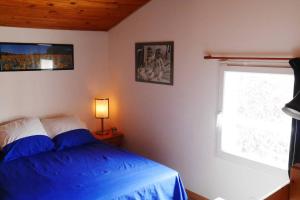 图卢兹Chez Babeth的一间卧室设有蓝色的床和窗户。