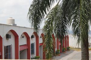 瓜鲁柳斯Motel Emoções de Guarulhos的一座棕榈树建筑