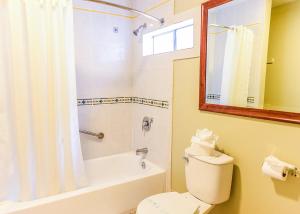 长滩帕西菲卡汽车旅馆的浴室设有卫生间和带镜子的淋浴