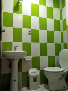 塔里哈Tierra Nuestra的绿色和白色的浴室设有水槽和卫生间