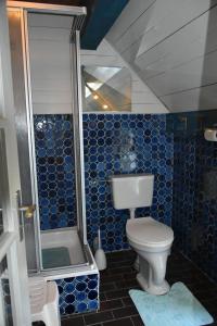 摩尔苏姆Hackerhof-Ostwohnung的蓝色瓷砖浴室设有卫生间和淋浴。