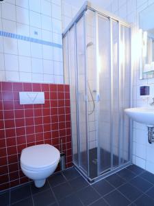 杜塞尔多夫杜塞尔多夫门兴运动酒店的浴室配有卫生间、淋浴和盥洗盆。