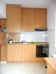 鲍洛通塞迈什BALATON ART Apartman的一个带木制橱柜和水槽的厨房