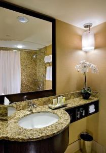 罗斯芒特芝加哥奥黑尔皇冠广场酒店与会议中心的一间带水槽和大镜子的浴室