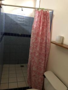 莫约加尔帕The Landing Hotel的带淋浴和粉红色浴帘的浴室