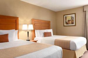 埃德蒙顿戴斯埃德蒙顿酒店的酒店客房设有两张床和两盏灯。